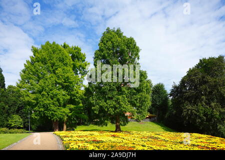 Les arbres avec parterres du Wallanlagen, Bremen, Germany, Europe Banque D'Images