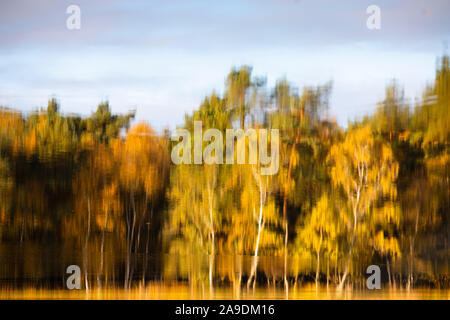 Reflet de la forêt d'automne dans la région de Moor lake Banque D'Images