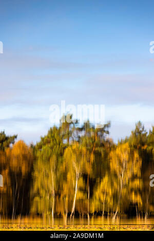 Reflet de la forêt d'automne dans la région de Moor lake Banque D'Images