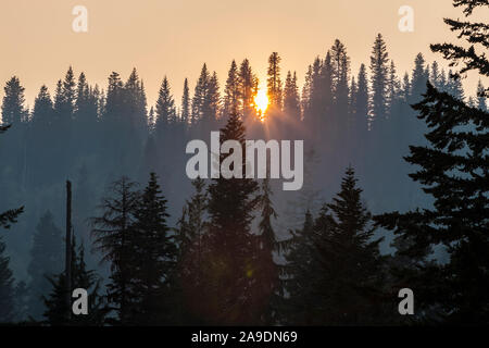 L'air rempli de fumée autour de Mount Rainier National Park en août 2018, Washington, USA. Banque D'Images