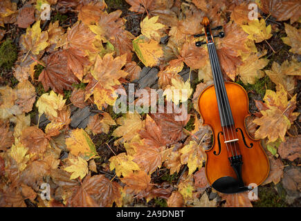 Couché sur le violon rouge et d'Orange Automne Érable fond Feuilles Banque D'Images