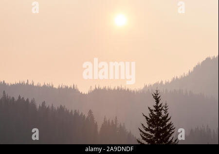 L'air rempli de fumée autour de Mount Rainier National Park en août 2018, Washington, USA. Banque D'Images