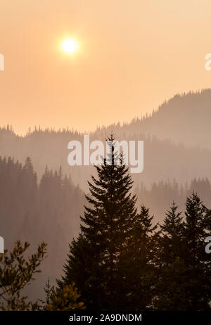 L'air rempli de fumée autour de Mount Rainier National Park en août 2018, Washington, USA. Banque D'Images