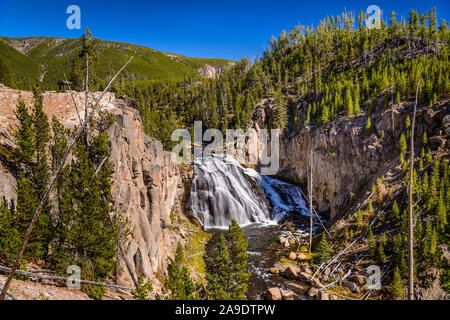 USA, Wyoming, Yellowstone National Park, Madison, Gibbon River Valley, Gibbon Falls Banque D'Images