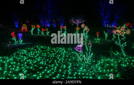 Art géant fleurs, ruche et de l'herbe verte des lumières de Noël. Meadowlark Jardins, promenade hivernale de lumières. Copier l'espace. La nuit. Des images plus nettes sur Télécharger. Banque D'Images