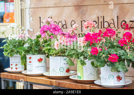 Plantes d'extérieur décorative, géraniums dans des boîtes à Bologne, Italie, Europe Banque D'Images