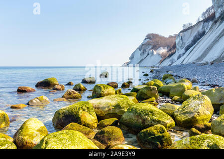 L'Europe, Danemark, Møn. Les roches de craie sur la côte est de l'île (Møns Klint) avec le point de vue de l'ancien magasin Taler (écrasé en 2007). Banque D'Images