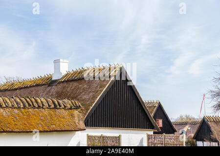 L'Europe, Danemark, Møn, Nyord. Vieux chaume, fermes. Banque D'Images