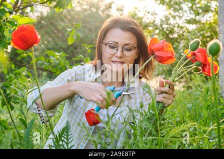 Femme d'âge moyen dans la nature fleurs coquelicots rouges coupe Banque D'Images