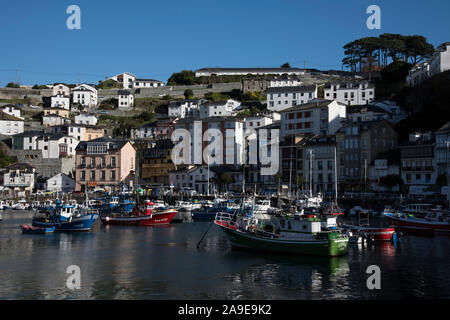 Les bateaux de pêche colorés dans le port de Luarca, Asturies, Costa Brava, l'Espagne du nord Banque D'Images