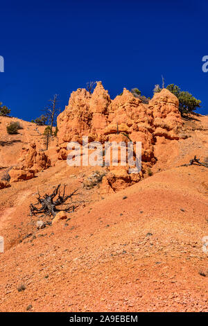 Les USA, Utah, Garfield Comté, Dixie National Forest, Panguitch, Red canyon, Red Canyon Trail Banque D'Images