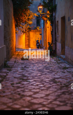 La nuit dans les ruelles d'une vieille ville italienne, il y a un chat sur le plâtre, Banque D'Images