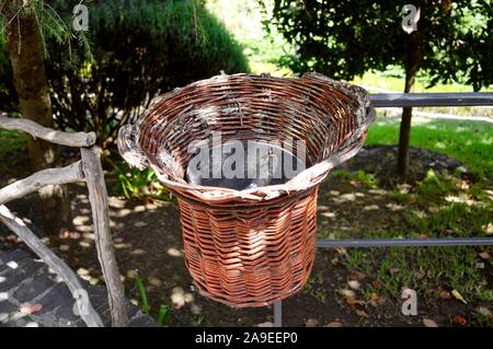 Corbeille en osier dans le parc sous un arbre (Madère, Portugal) Banque D'Images