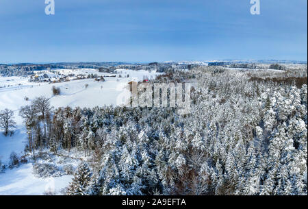 Paysage d'hiver avec des arbres couverts de neige, Jenhausen, Upper Bavaria, Bavaria, Germany, Europe Banque D'Images