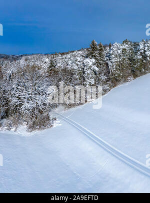 Paysage d'hiver avec des arbres couverts de neige, Jenhausen, Upper Bavaria, Bavaria, Germany, Europe Banque D'Images