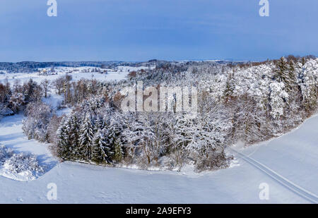 Paysage d'hiver avec des arbres couverts de neige, Jenhausen, Upper Bavaria, Bavaria, Germany, Europe Banque D'Images