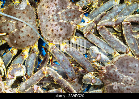 Voyage Corée du Sud - de nombreux crabes vivent à proximité du réservoir d'eau jusqu'au Taepo Marché de poisson de Sokcho city Banque D'Images