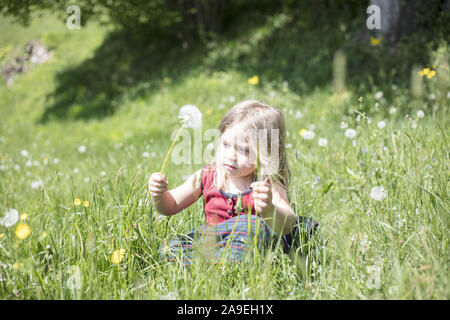 Enfant dans l'herbe avec blowball Banque D'Images