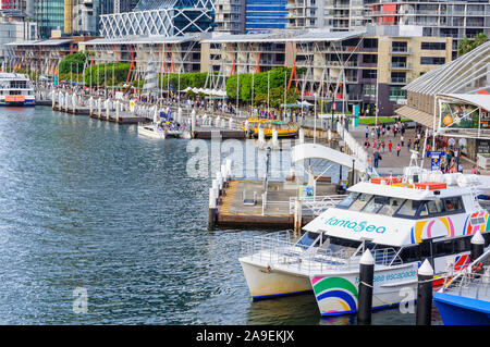 Quai de l'aquarium à côté de l'historique Pier 26 et en font de la vie en mer dans l'Aquarium de Sydney Darling Harbour - Sydney, NSW, Australie Banque D'Images