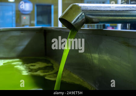 Des jus d'huile d'olive extra vierge et verser dans un réservoir d'une usine d'huile d'olive. Banque D'Images