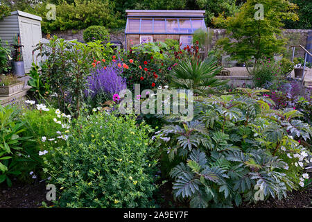 Le jardin, Helen Dillon Dillon, Plantswoman,Corthna-lodge,Seafield Ave, Monkstown,Dublin, Irlande,Double frontière herbacées vivaces,plantation,luxuriant régime Banque D'Images