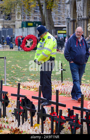 Londres, Angleterre, Royaume-Uni. Agent de police à la recherche de coquelicots et de croix dans le jardin de l'abbaye de Westminster avant dimanche, rassemblent chacune Banque D'Images