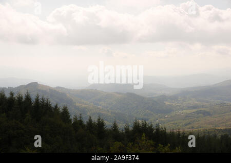 Vue pittoresque sur le ciel nuageux et de pins de la forêt de montagne couverte de brume Banque D'Images