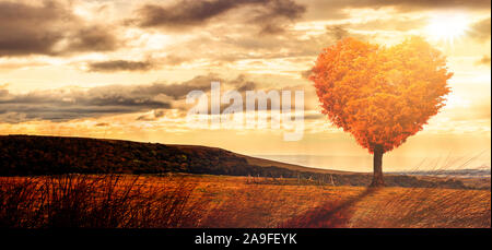 Arbre dans herform dans un paysage surréaliste à sonnenuntergagn Banque D'Images