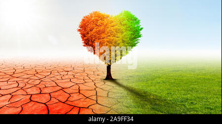 Arbre en forme de coeur dans un paysage désert surréaliste Banque D'Images