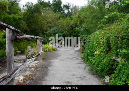 Jardin de thé japonais à San Antonio, Texas. Jardin paysager pittoresque situé au cœur de Brackenridge Park. Banque D'Images