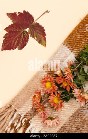 Sécher les feuilles jaune et marron, bouquet de fleurs et sur le plaid à carreaux beige background. Un thème d'automne. Vue d'en haut. Banque D'Images