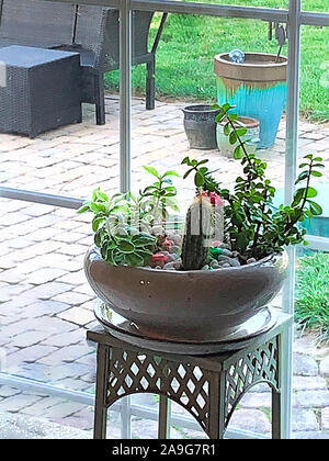 Peuplement de métal dans la cuisine avec des cactus dans un semoir avec vue sur patio extérieur grâce à des curseurs. Banque D'Images