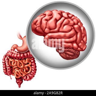 La fonction digestive du cerveau et l'intestin ou les système nerveux entérique digestion esprit lien comme une psychobiotic détresse intestinale concept médical. Banque D'Images