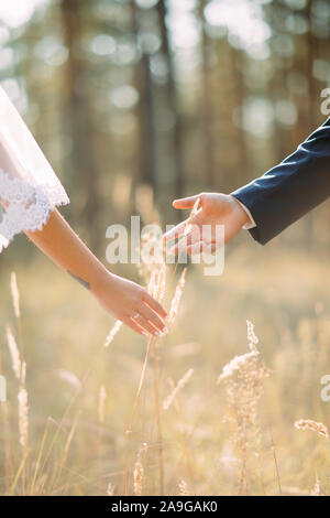 La mariée et le marié à pied dans le pré et tirer leurs mains l'une à l'autre. Libre. Banque D'Images