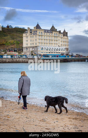 Dame mature promener son chien Labradoodle noir le long de la plage de Llandudno surplombant le Grand Hôtel Banque D'Images