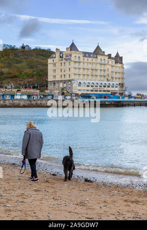 Dame mature promener son chien Labradoodle noir le long de la plage de Llandudno surplombant le Grand Hôtel Banque D'Images