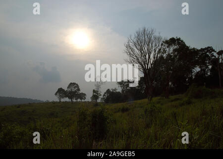 Coucher de soleil sur beau parc de Khao Yai, Thaïlande Banque D'Images