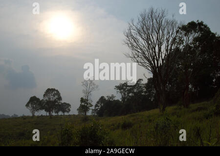 Coucher de soleil sur beau parc de Khao Yai, Thaïlande Banque D'Images