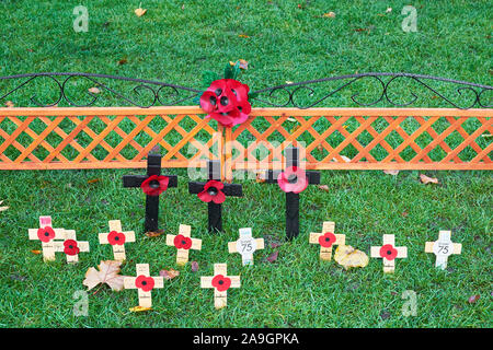 Jardin de pavot dans le parc à l'enceinte de la cathédrale de Winchester, en Angleterre. Banque D'Images