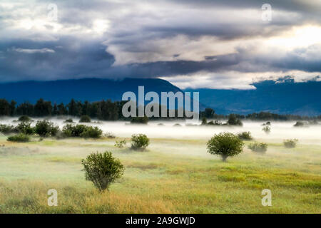 Dans le brouillard matin, Creston Valley, British Columbia, Canada Banque D'Images