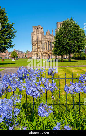 Tournés vers l'Occident avant de Wells Cathedral et Wells, Somerset Banque D'Images