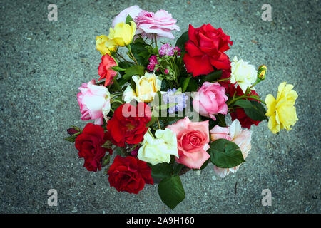 Bouquet de roses multicolores Banque D'Images
