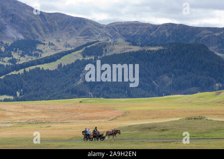 Les touristes s'asseoir à l'arrière d'une calèche comme il fait son chemin à travers le plus grand plateau alpin et le pâturage, l'Alpi di Siusi Banque D'Images