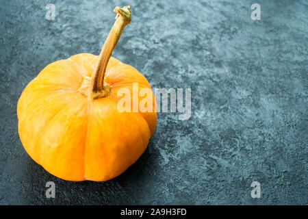 Trois citrouilles de différentes couleurs sur un fond noir. Banque D'Images