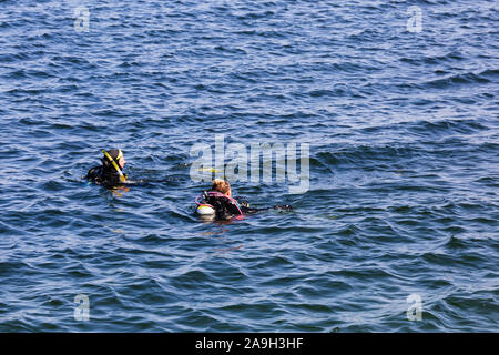 Les amateurs de plongée sous-marine dans la mer, San Carlos State Beach, Monterey, Californie, États-Unis d'Amérique Banque D'Images