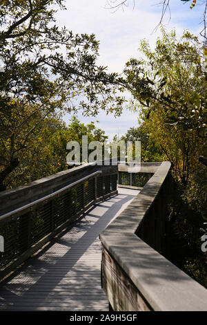 Passerelle en bois à travers forêt menant à la plage à Deer Lake State Park à la Floride, USA. Banque D'Images