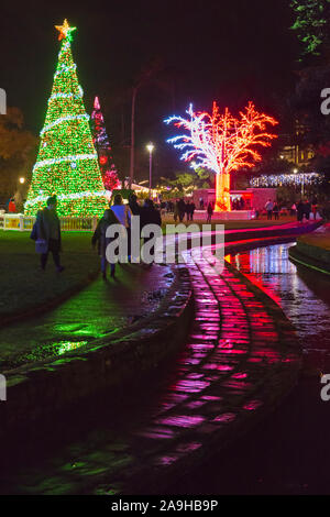 Bournemouth, Dorset, Royaume-Uni. 15 novembre 2019. Des milliers de visiteurs, de familles et d'enfants excités affluent dans les jardins de Bournemouth bravant le froid pour l'ouverture de l'arbre de Noël Wonderland de Bournemouth. De retour pour sa 2e année avec un affichage encore plus grand et meilleur avec plus de 100 arbres scintillants et illuminations. Certains des arbres sont thématiques pour représenter six villes à travers le monde. Les visiteurs peuvent suivre le sentier. Crédit : Carolyn Jenkins/Alamy Live News Banque D'Images