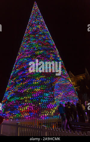 Bournemouth, Dorset, UK. 15 Nov 2019. Des milliers de visiteurs, familles et enfants excités, troupeau, à Bournemouth Gardens bravant le froid pour l'ouverture de l'arbre de Noël de Bournemouth Wonderland. De retour pour sa 2e année avec un plus grand et un meilleur affichage avec plus de 100 arbres scintillants et illuminations. Certains arbres sont à thème pour représenter les six villes à travers le monde. Les visiteurs peuvent suivre le sentier. 60' procédure pas arbre. Credit : Carolyn Jenkins/Alamy Live News Banque D'Images