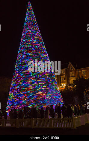 Bournemouth, Dorset, UK. 15 Nov 2019. Des milliers de visiteurs, familles et enfants excités, troupeau, à Bournemouth Gardens bravant le froid pour l'ouverture de l'arbre de Noël de Bournemouth Wonderland. De retour pour sa 2e année avec un plus grand et un meilleur affichage avec plus de 100 arbres scintillants et illuminations. Certains arbres sont à thème pour représenter les six villes à travers le monde. Les visiteurs peuvent suivre le sentier. 60' procédure pas arbre. Credit : Carolyn Jenkins/Alamy Live News Banque D'Images