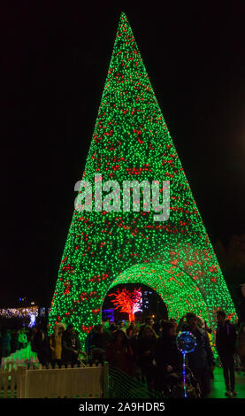 Bournemouth, Dorset, UK. 15 Nov 2019. Des milliers de visiteurs, familles et enfants excités, troupeau, à Bournemouth Gardens bravant le froid pour l'ouverture de l'arbre de Noël de Bournemouth Wonderland. De retour pour sa 2e année avec un plus grand et un meilleur affichage avec plus de 100 arbres scintillants et illuminations. Certains arbres sont à thème pour représenter les six villes à travers le monde. Les visiteurs peuvent suivre le sentier. 60' procédure pas arbre. Credit : Carolyn Jenkins/Alamy Live News Banque D'Images